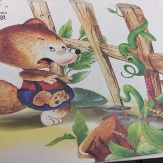 【智慧幼儿园园长妈妈晚安🌙绘本故事11《狐狸🦊和刺藤》