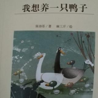 《我想养一只鸭子》第六章《鸭翅》