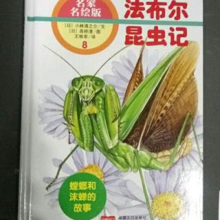 法布尔昆虫记: 螳螂