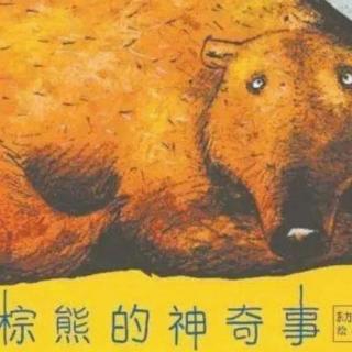 ［棕熊🐻的神奇事］春蕾教育晚安故事