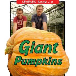 Giant Pumpkins | Level O | Reading a-z