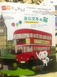 坐公交车的猫