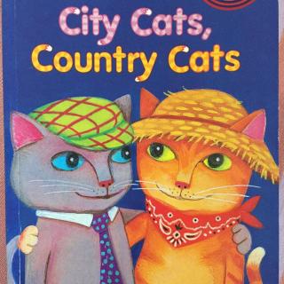 City cats，country cats