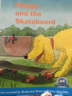 Oscar Oxford DD4-3 Floppy and the skateboard_20171215