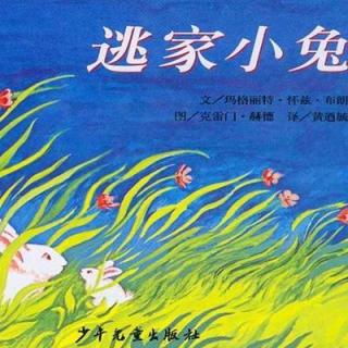 【爱丽丝读童书】| 逃家小兔
