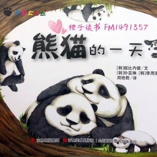 《奇趣大自然》—熊猫的一天🐼