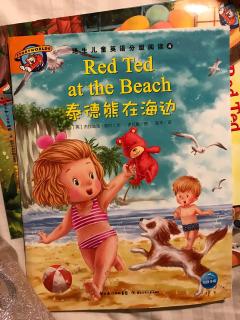 《Red Ted at the Beach》