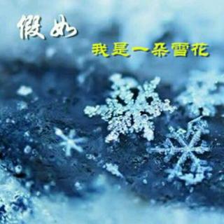 【假如我是一朵雪花】作者/朱益民