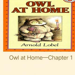 Owl at Home 1