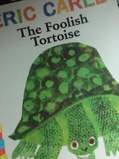 The Foolish Tortoise 2