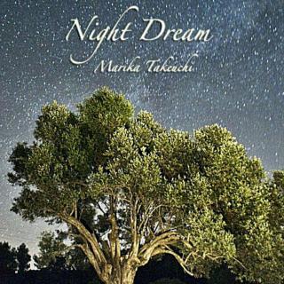 Night Dream–Marika Takeuchi