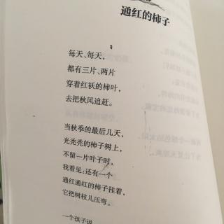 《通红的柿子》、《叶笛》、《榕树》