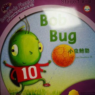 Bob Bug——Candy