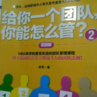 《给你个团队怎么管》如何保证高效执行～扁平化的团队管理结构