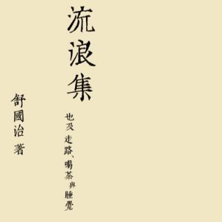 想远走高飞去流浪吗？——舒国治《流浪集》