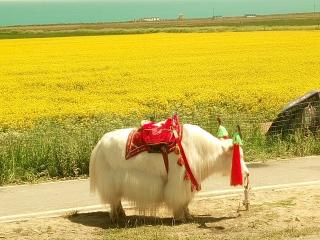 《给教师的100条建议》29.怎样按季节安排学生的学习