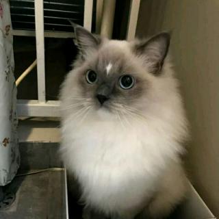 《水浒传》之张顺斗李逵