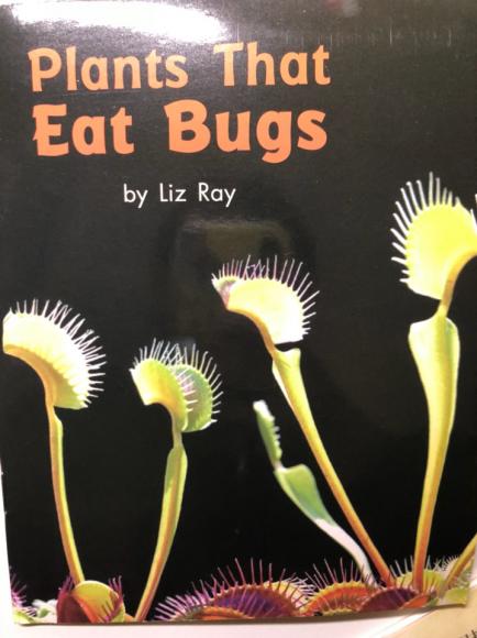 【dec-18-sarah-03 plants that eat bugs】在线收听_慕秋93_荔枝fm