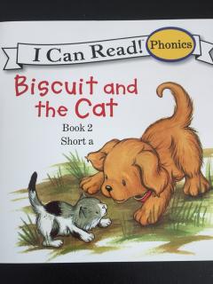 Biscuit and the cat