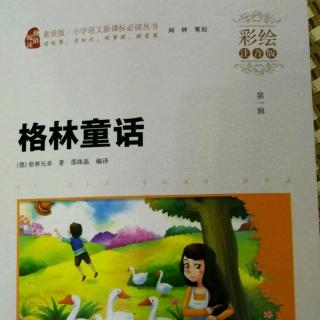 格林童话～ 石竹花