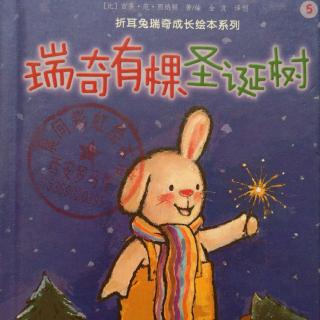 《瑞奇有棵圣诞树🎄》