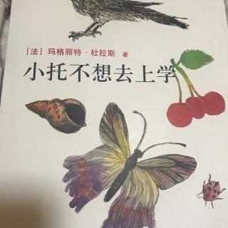 羊妈讲故事：《小托不想去上学》