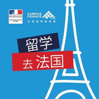  【法国】13. 留法归国就业创业，找留法学友俱乐部