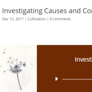 Investigating Causes and Conditions in Clinical Practice