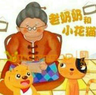 老奶奶和小花猫。