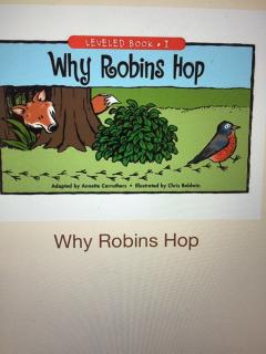 英文绘本～Why robins hop