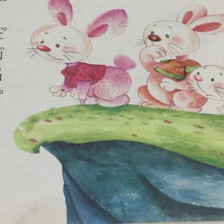 【智慧幼儿园园长妈妈晚安🌙绘本故事13《兔子🐰和青蛙🐸》