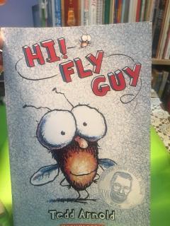 Hi fly guy