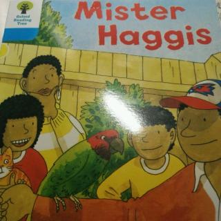 mister     haggis