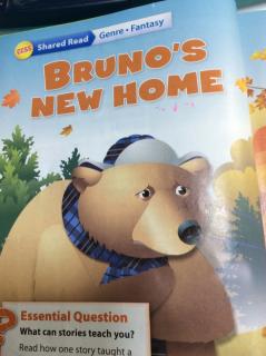 175.Bruno's New Home