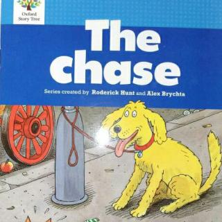 牛津树2-5 the chase