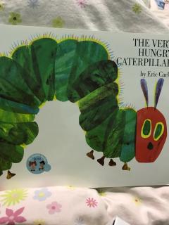 the very hungry caterpillar