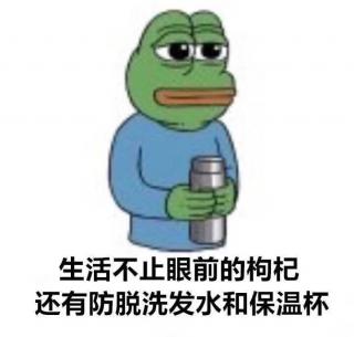 养胃是一辈子要干的事情