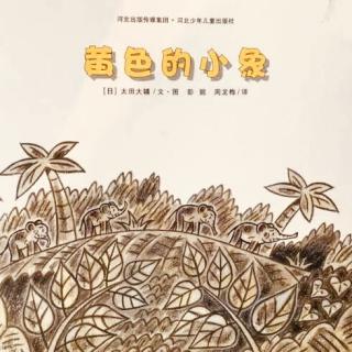 《黄色的小象🐘》