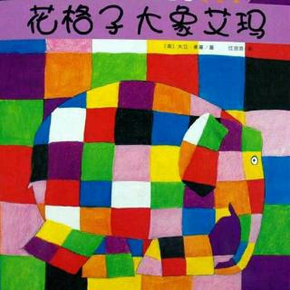 【故事46】绘本故事《花格子大象艾玛》