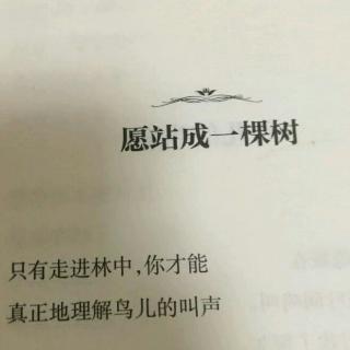 《愿站成一棵树》《山》《风铃》