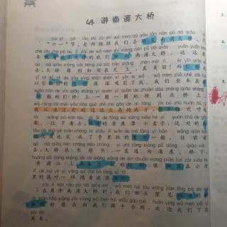 《游南浦大桥》