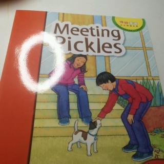 Meeting Pickles
