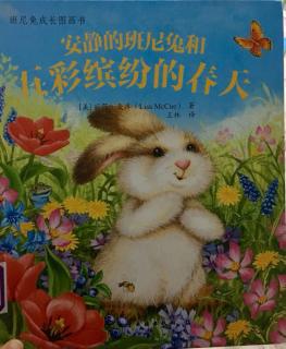 安静的班尼兔和五彩缤纷的春天