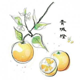 听橙子🍊姐姐讲故事——《小矮人》