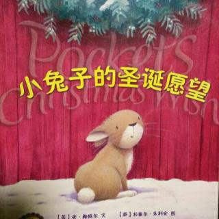 《小兔子的圣诞愿望》――寻找圣诞节的意义