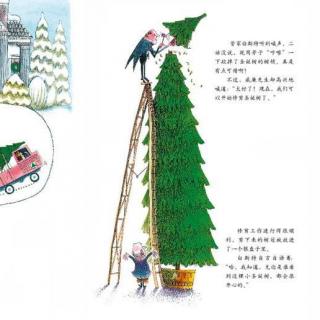 【爱丽丝读童书】| 威廉先生的圣诞树