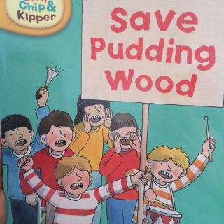 Save pudding wood