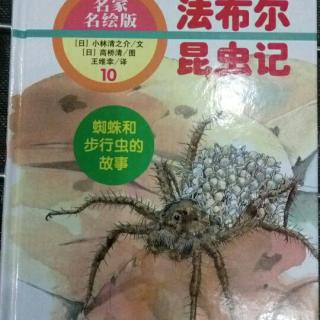 法布尔昆虫记: 蜘蛛