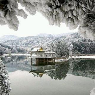 闻小语   雪，是我冬季最执着的盼望    朗诵/太阳雨