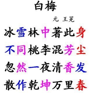 白梅王冕拼音版古诗图片